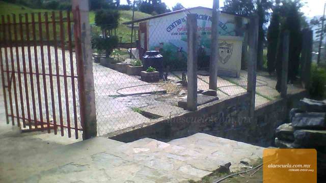 Entrada (vista previa)