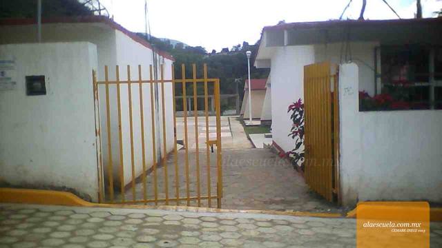 Entrada (vista previa)