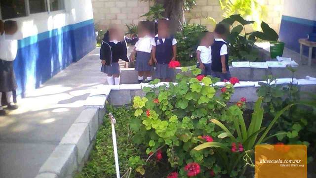 Áreas (vista previa)