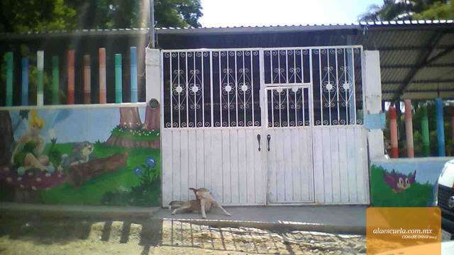 Entrada (vista previa)