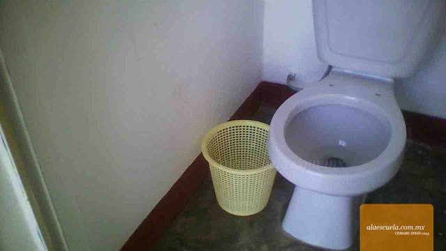 Entrada (vista previa)