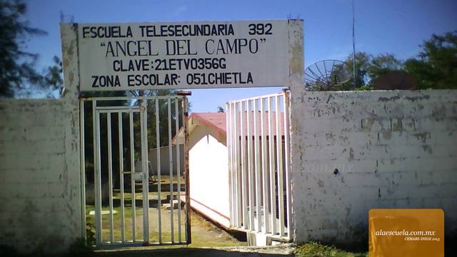 Entrada (vista previa)