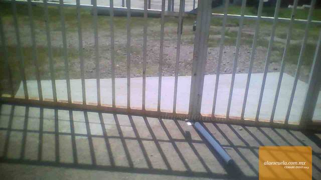 Entrada (vista previa)