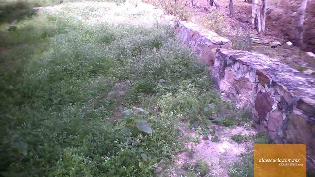 Aulas (vista previa)