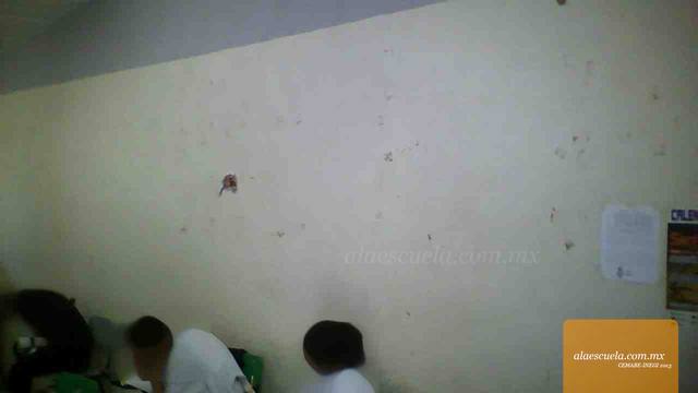 Aulas (vista previa)