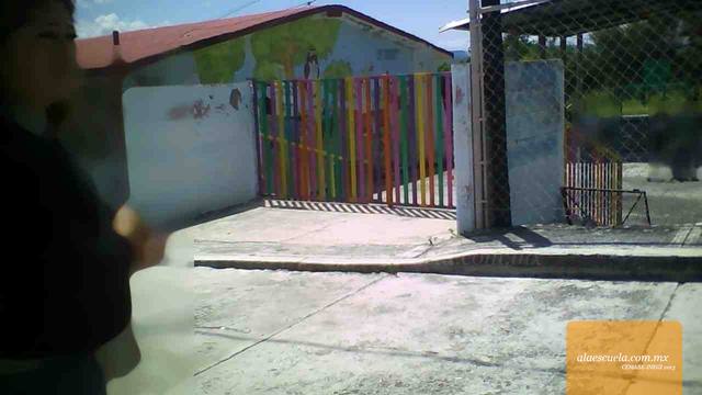 Entrada (vista previa)