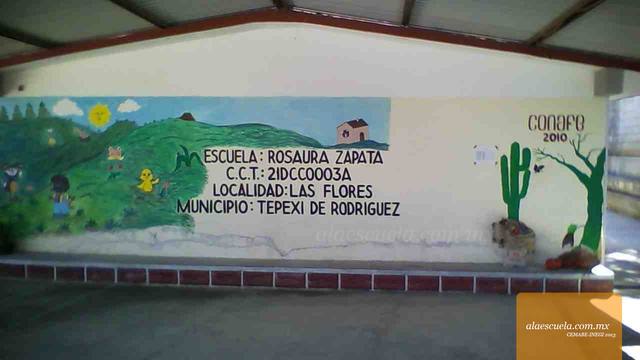 Entrada (vista previa)