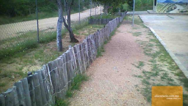 Áreas (vista previa)