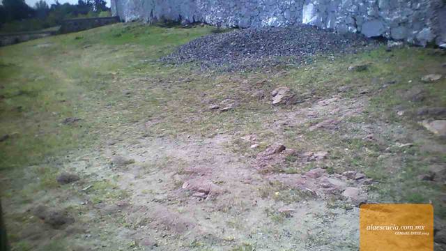 Entrada (vista previa)