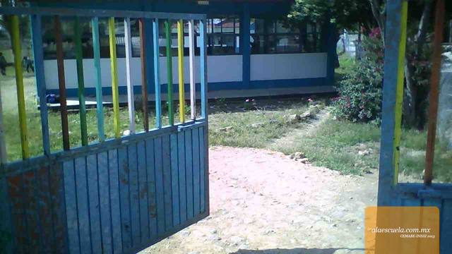 Entrada (vista previa)