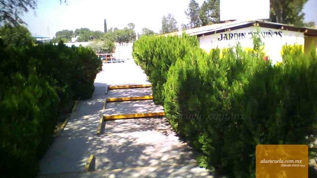 Entrada (vista previa)