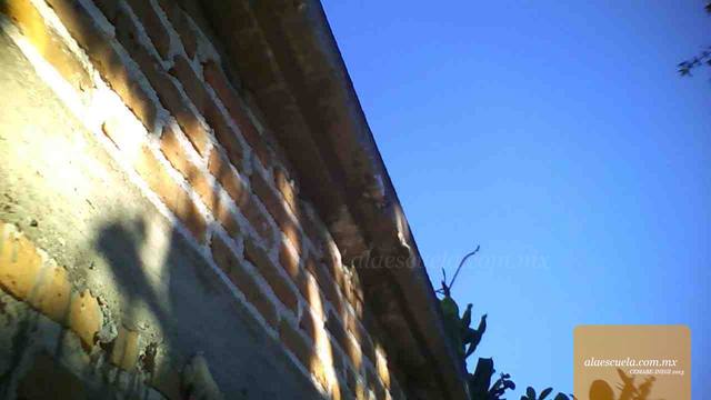 Aulas (vista previa)