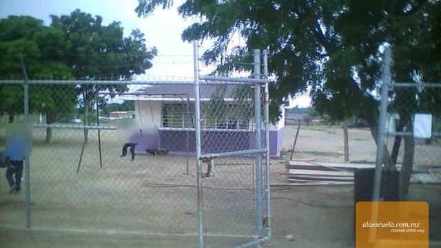 Entrada (vista previa)