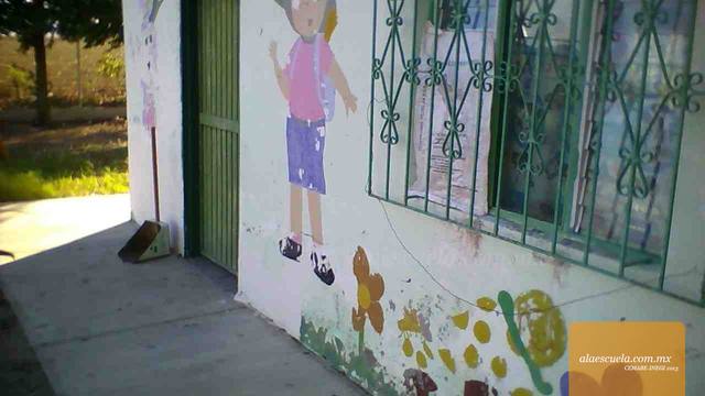 Entrada (vista previa)