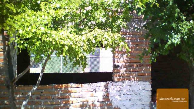 Entrada (vista previa)