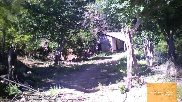 Entrada (vista previa)