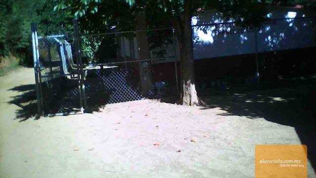 Entrada (vista previa)