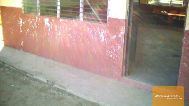 Entrada (vista previa)