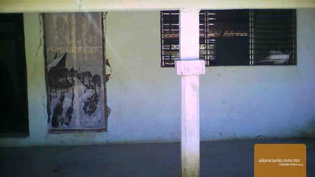 Entrada (vista previa)