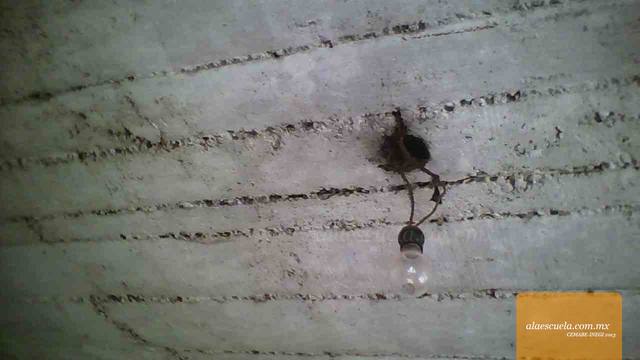 Aulas (vista previa)