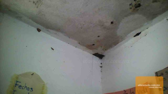 Aulas (vista previa)