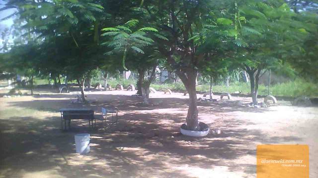 Áreas (vista previa)