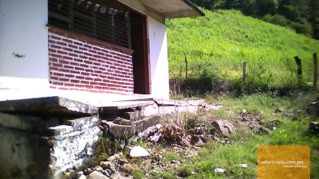 Entrada (vista previa)