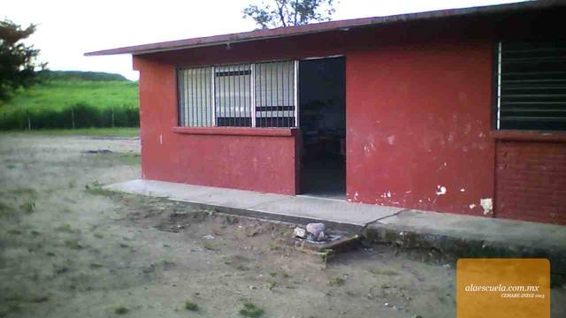 Entrada (vista previa)