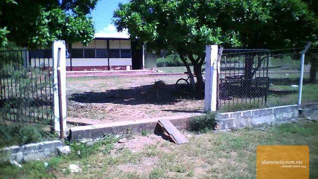 Entrada (vista previa)