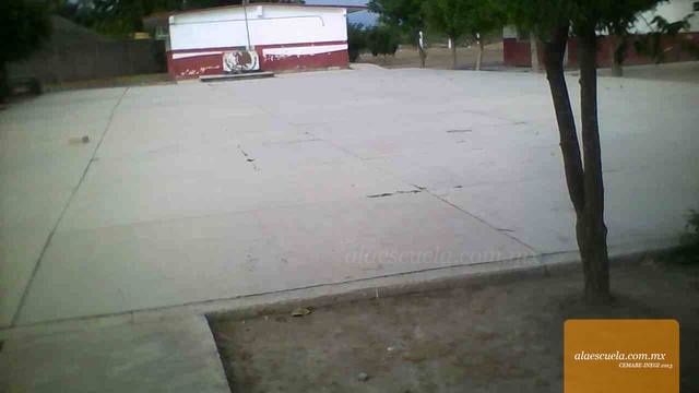 Entrada (vista previa)