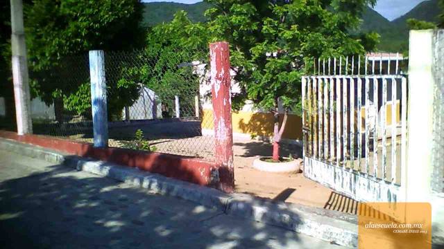 Entrada (vista previa)