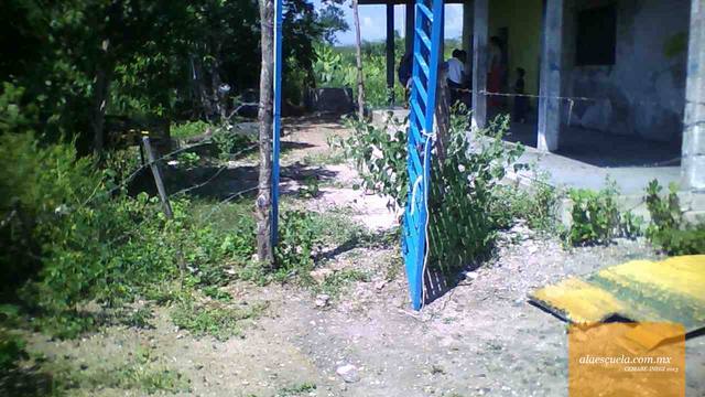 Entrada (vista previa)