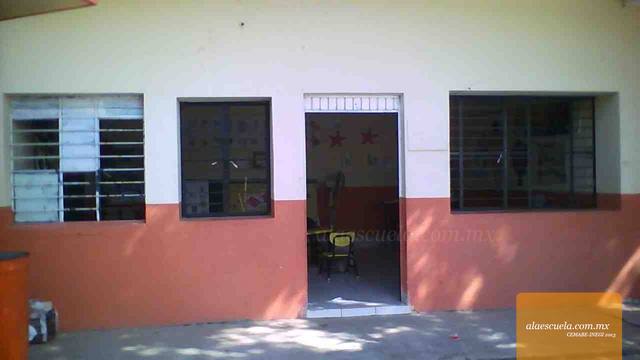 Entrada (vista previa)