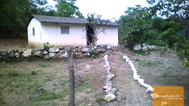 Entrada (vista previa)