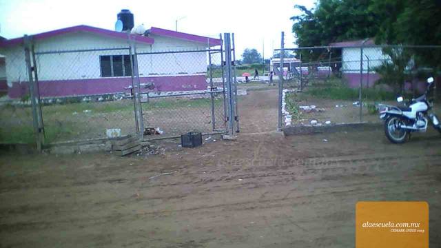 Entrada (vista previa)