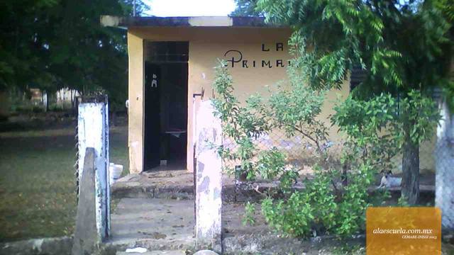 Entrada (vista previa)