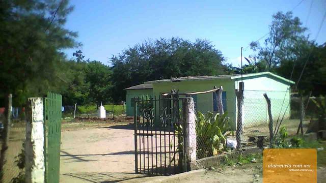 Entrada (vista previa)