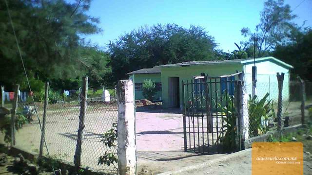 Entrada (vista previa)