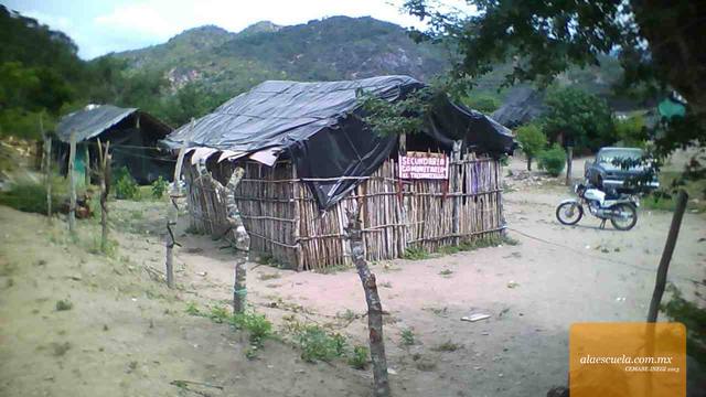 Entrada (vista previa)