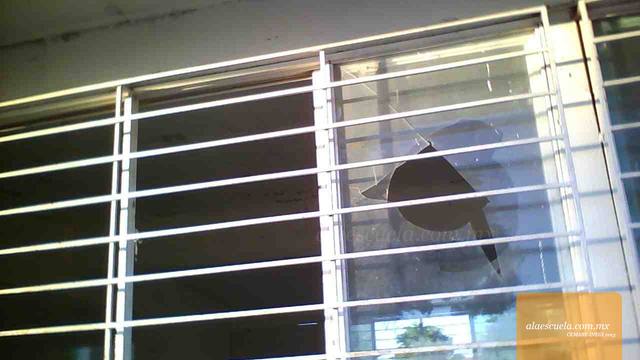 Aulas (vista previa)