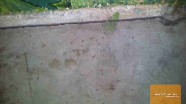 Aulas (vista previa)