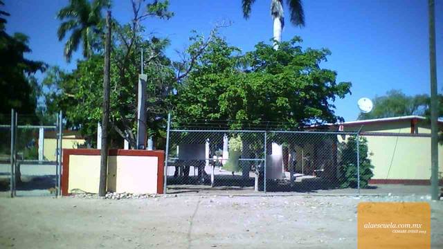 Entrada (vista previa)