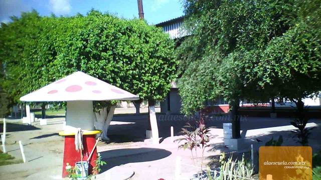 Áreas (vista previa)