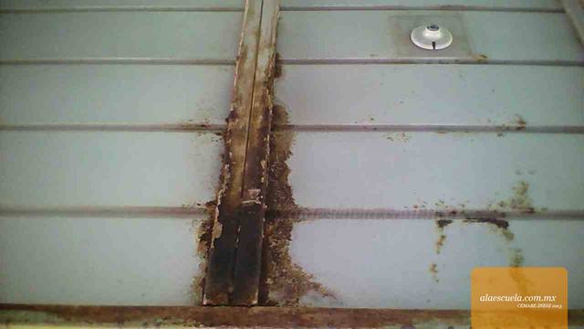 Aulas (vista previa)