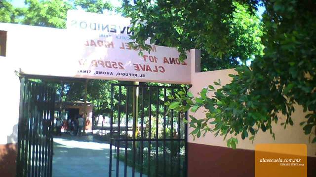 Entrada (vista previa)