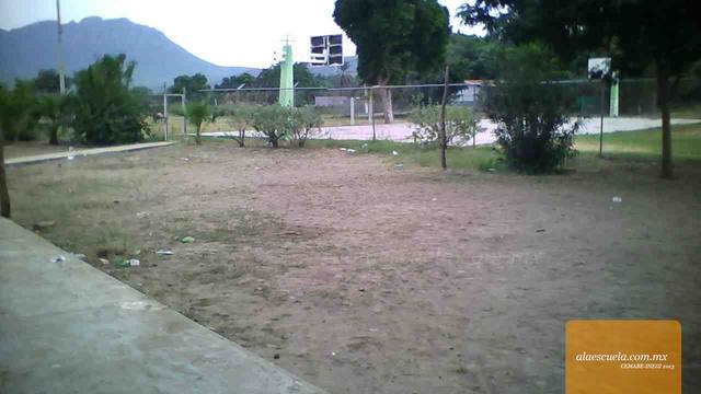 Entrada (vista previa)