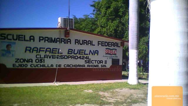 Entrada (vista previa)