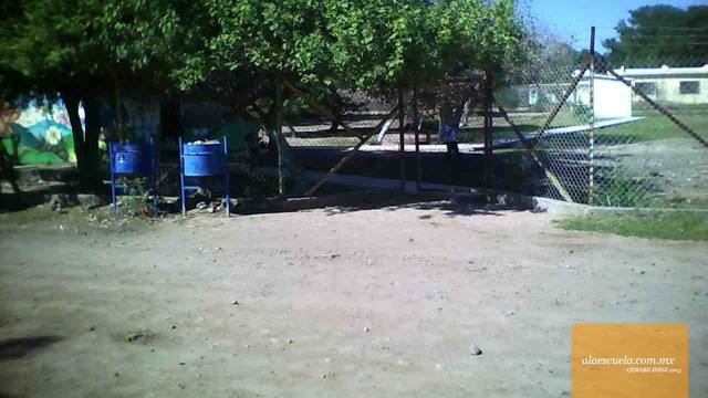 Entrada (vista previa)