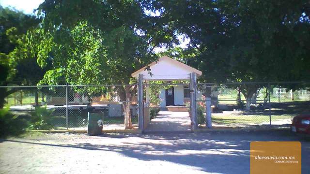 Entrada (vista previa)