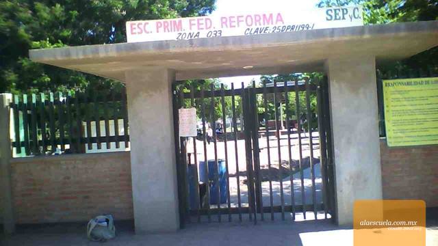 Entrada (vista previa)